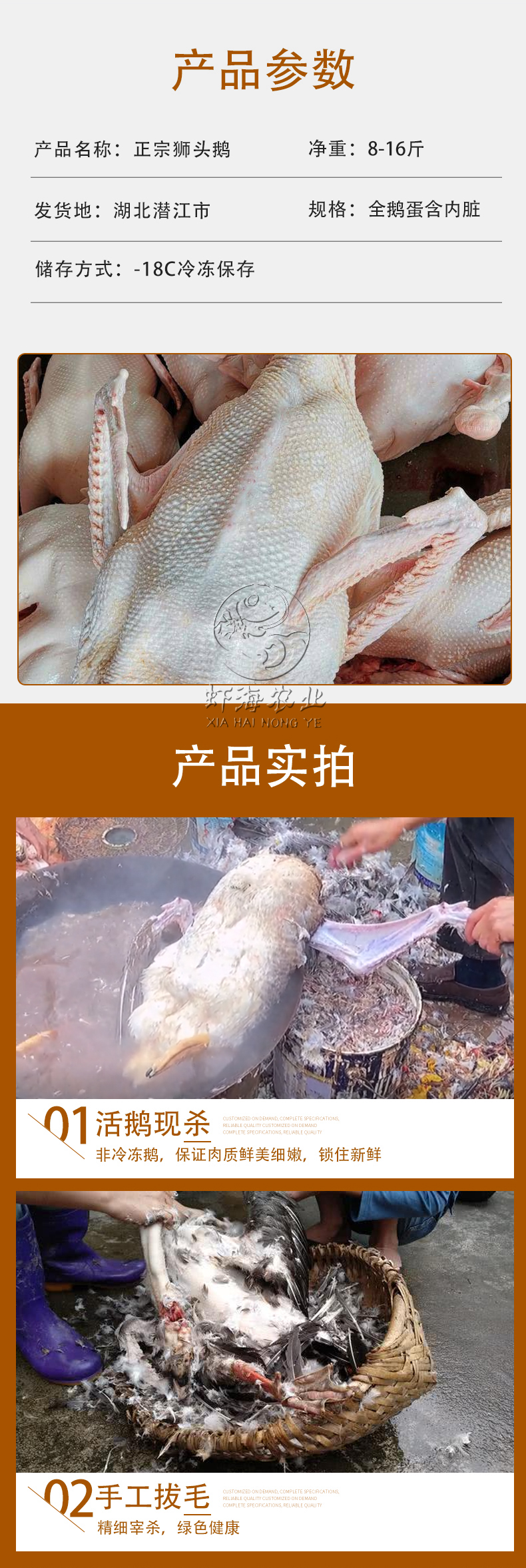 狮头鹅详情_05.jpg